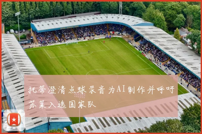 托蒂澄清点球录音为AI制作并呼吁苏莱入选国家队