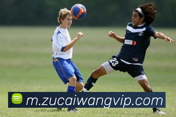 足彩网平台生态图